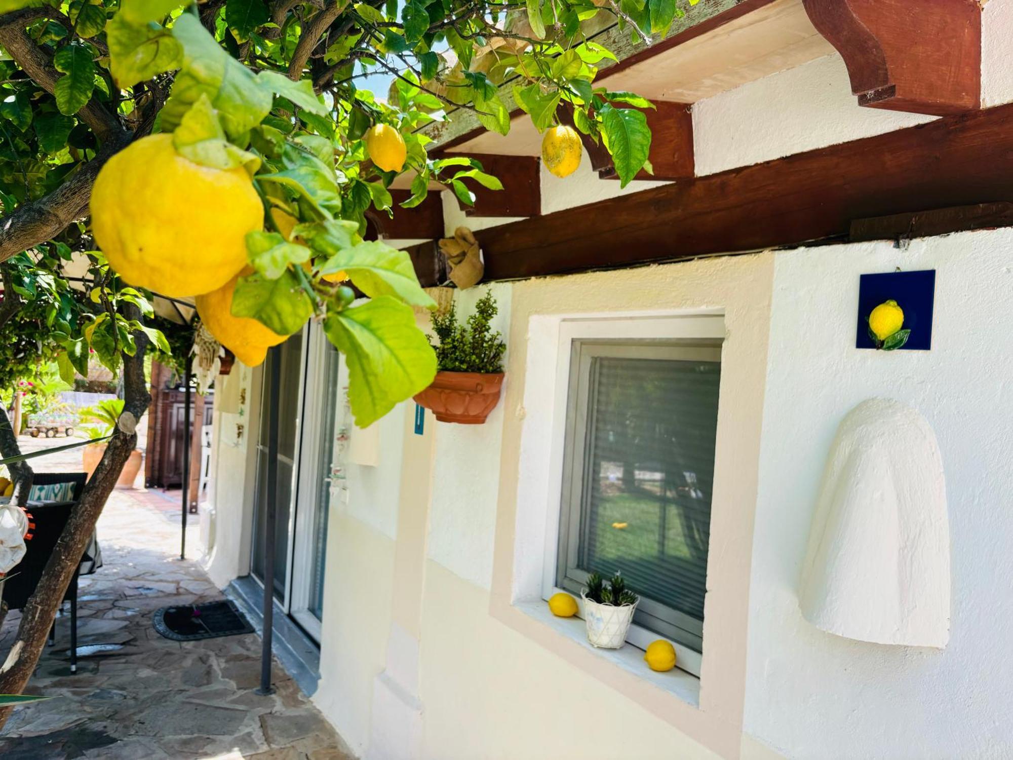 Casita Limon Andratx Villa Eksteriør bilde